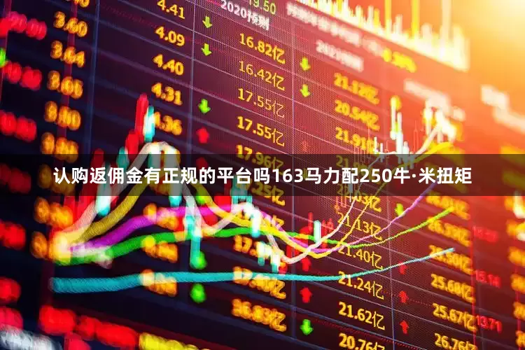 认购返佣金有正规的平台吗163马力配250牛·米扭矩