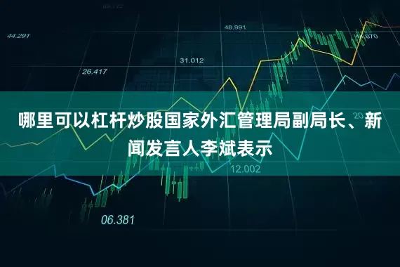 哪里可以杠杆炒股　　国家外汇管理局副局长、新闻发言人李斌表示