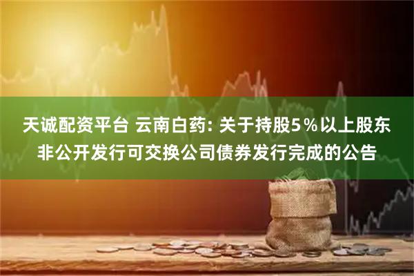 天诚配资平台 云南白药: 关于持股5％以上股东非公开发行可交换公司债券发行完成的公告