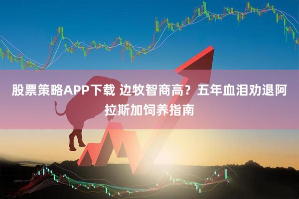 股票策略APP下载 边牧智商高？五年血泪劝退阿拉斯加饲养指南