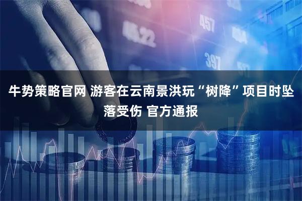 牛势策略官网 游客在云南景洪玩“树降”项目时坠落受伤 官方通报