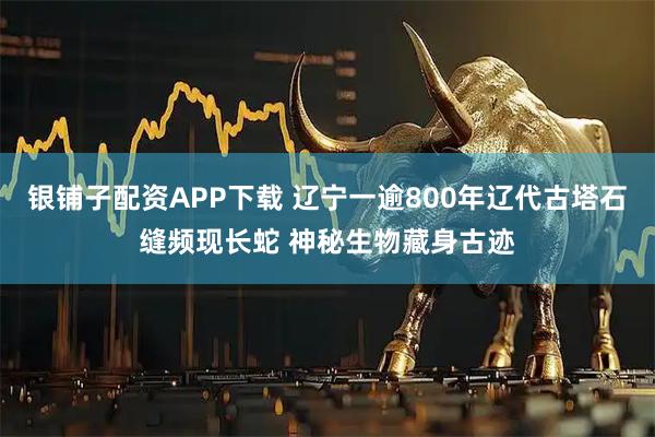 银铺子配资APP下载 辽宁一逾800年辽代古塔石缝频现长蛇 神秘生物藏身古迹